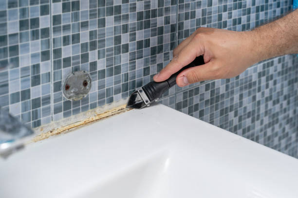 Best Emergency Mold Removal  in Morris, MN